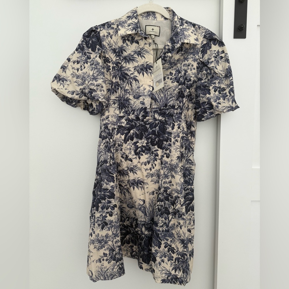 Tuckernuck Blue and Cream Botanical Mini Dress